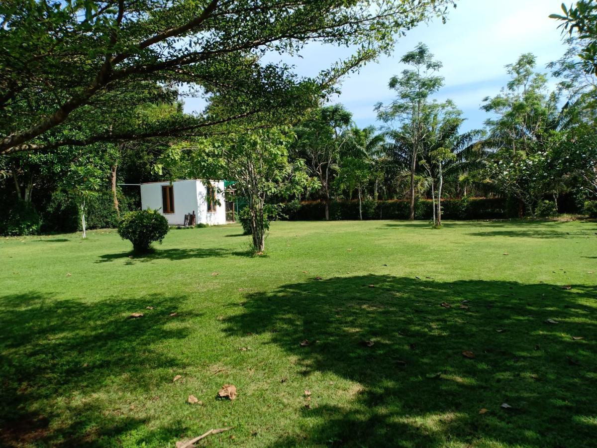 Mem Homestay Chumphon Exteriér fotografie